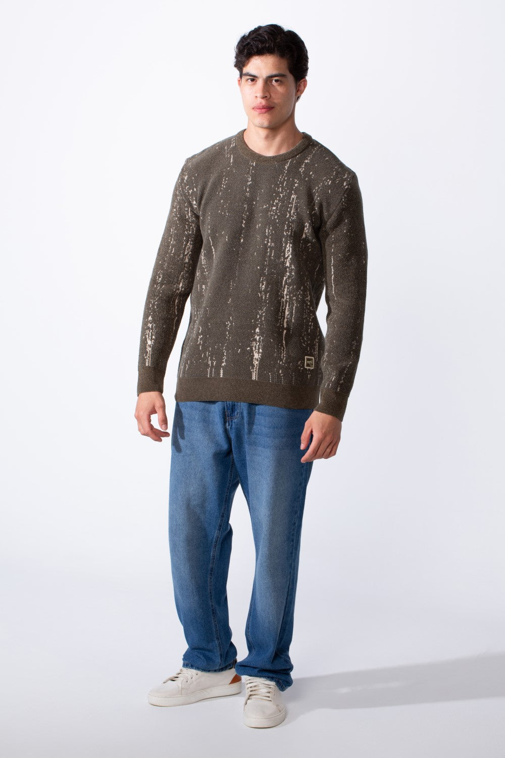 Men's Crew Neck Printed Long Sleeve Slim Fit Knit Pullover