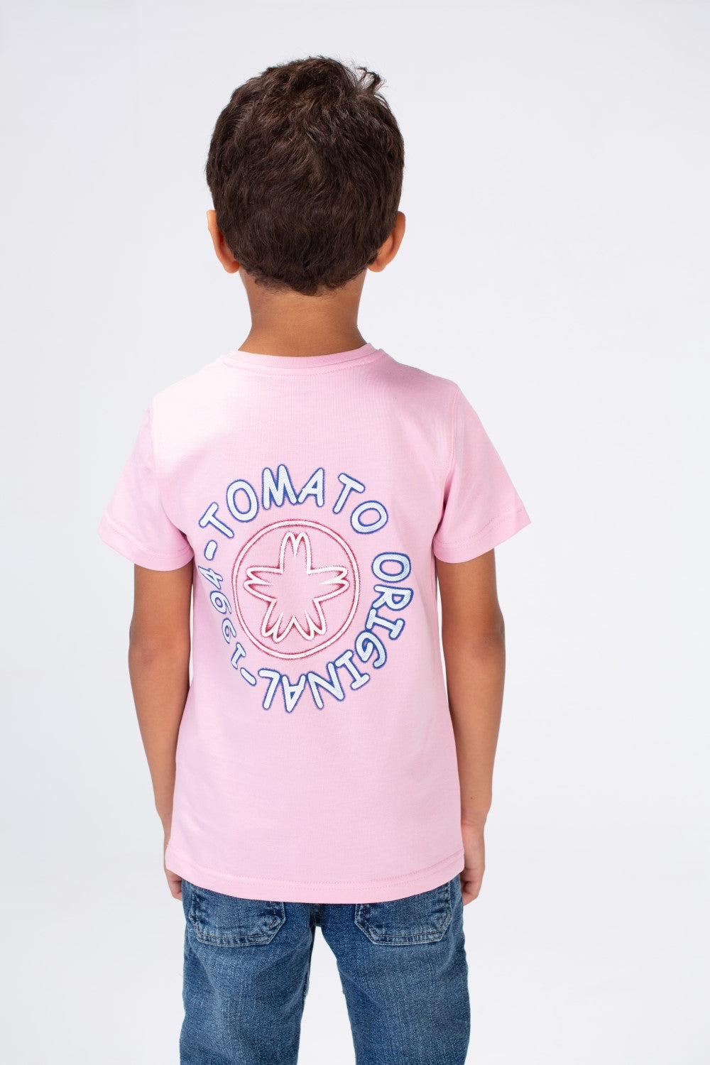 Boys Round Neck Half Sleeves T-shirt With Tomato Print In Summer Melton Material