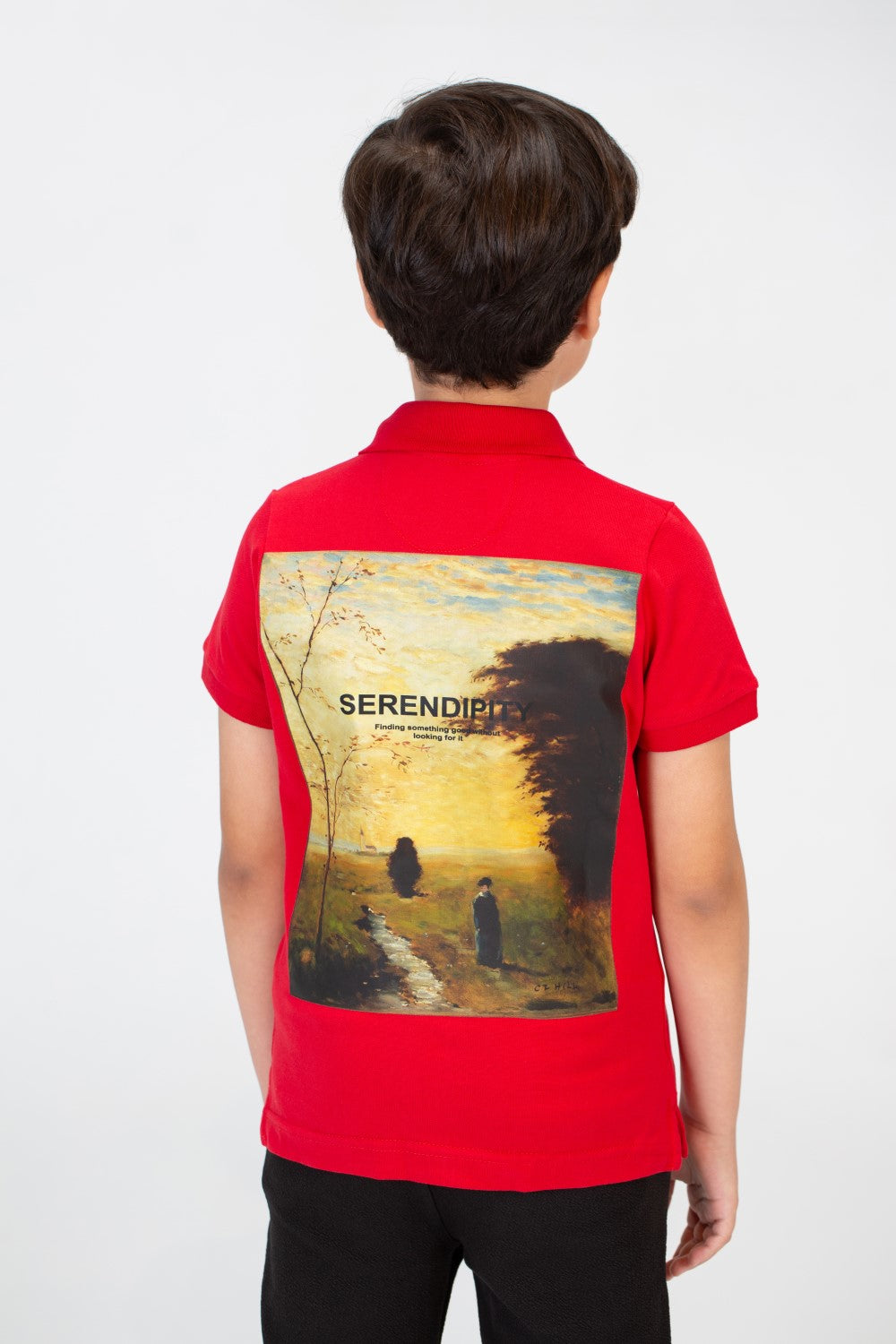 Boys Polo T-shirt With Short Sleeves And A Distinctive Back Print