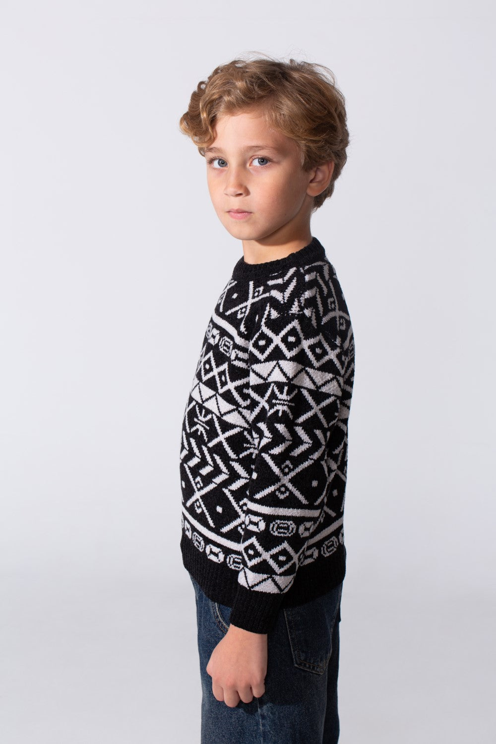 Boy's Printed Slim Fit Jakar Pullover With A Round Neck And Long Sleeves