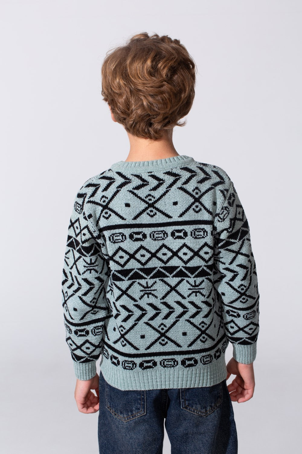 Boy's Printed Slim Fit Jakar Pullover With A Round Neck And Long Sleeves