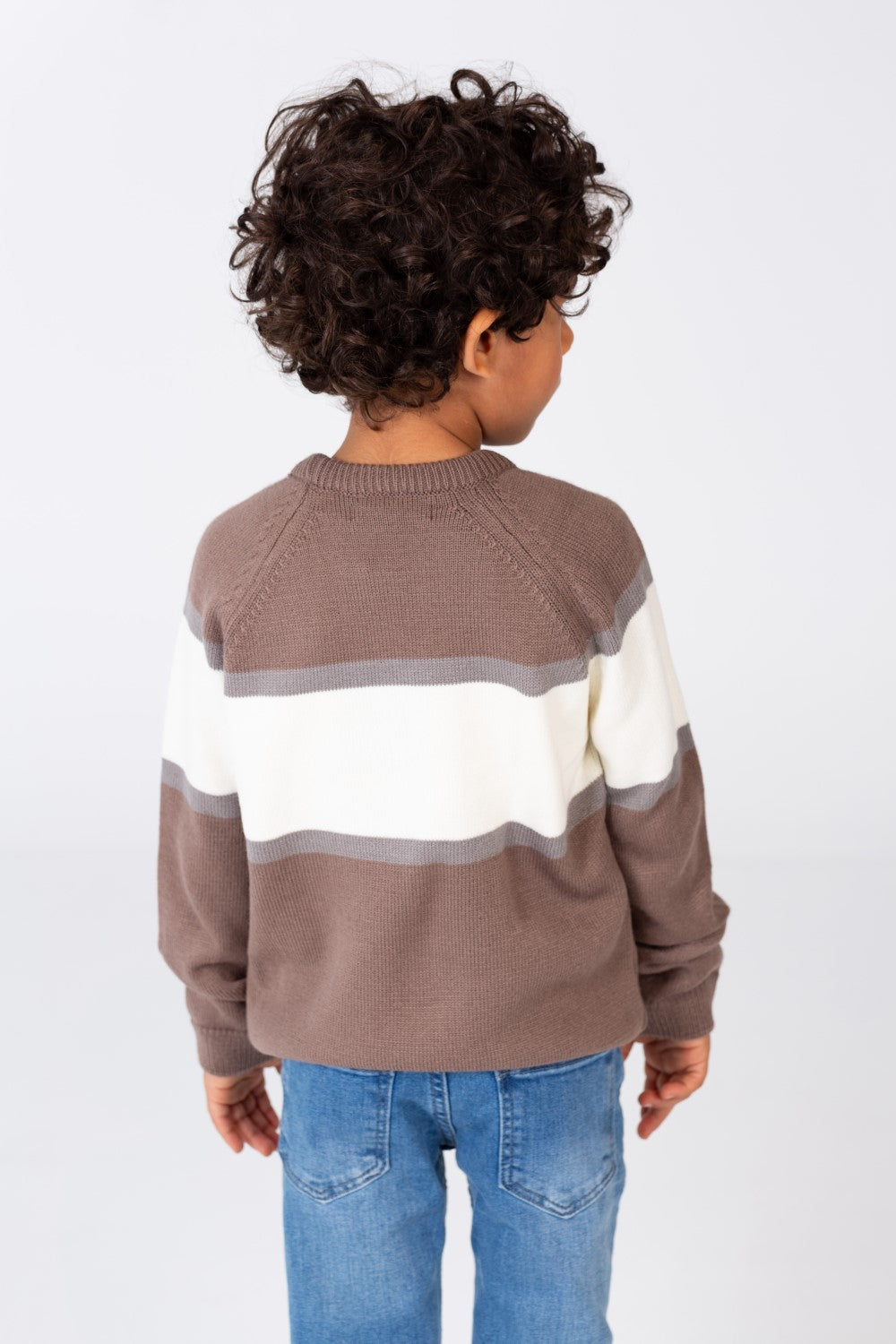 Boy's Regular Fit Crew Neck Pullover