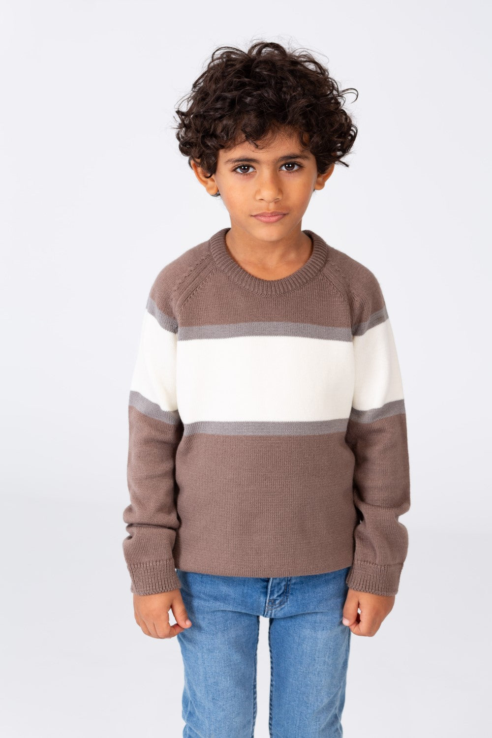 Boy's Regular Fit Crew Neck Pullover