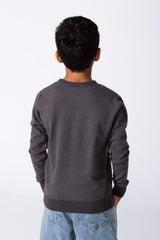 Boy's Slim Fit Cotton Round Neck Long Sleeves Pullover In Breathable Fabric