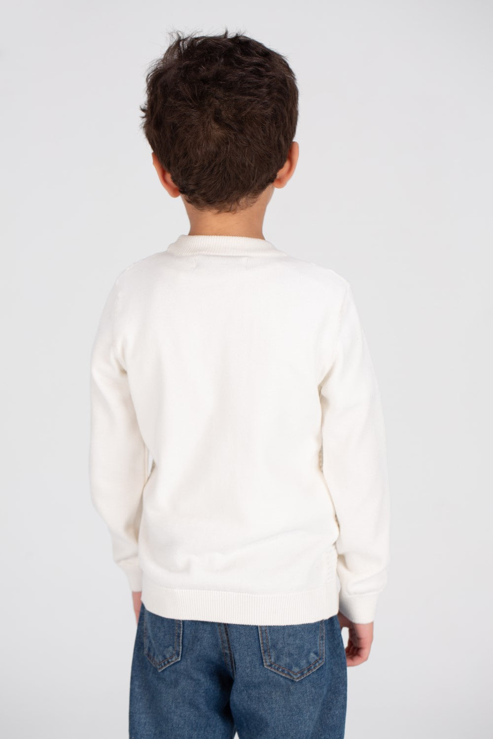 Boy's Crew neck Made Of Soft Basic Pullover