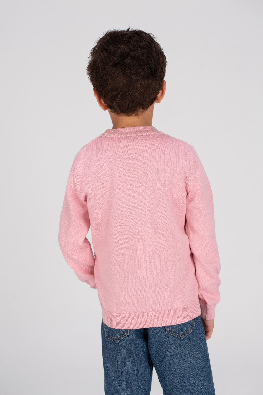 Boy's Crew neck Made Of Soft Basic Pullover