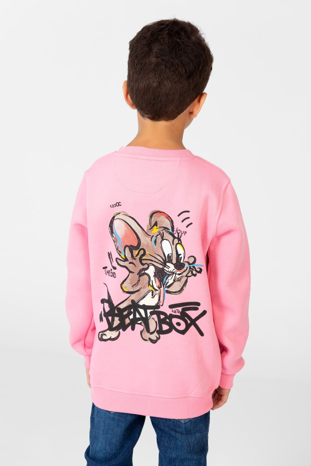 Boy's Printed Sweatshirt With Round Neck And Long Sleeves