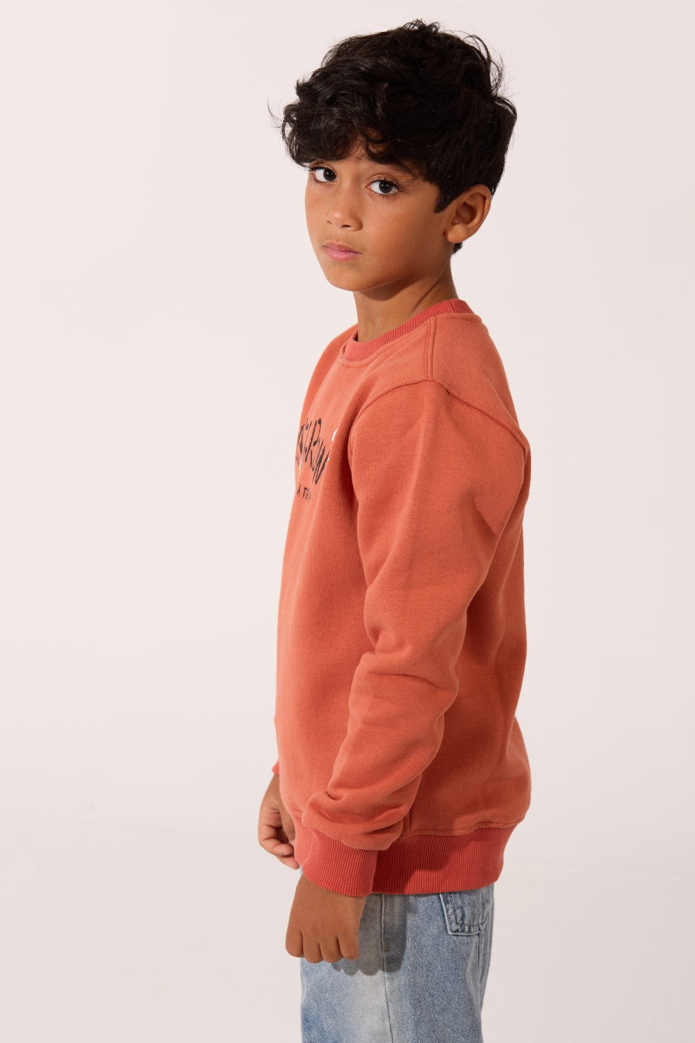 Boy's Milton Slim Fit Sweatshirt With A Round Neck And Front Text Print