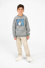 Boy's Long Sleeves Crew Neck Sweatshirt With Front Print