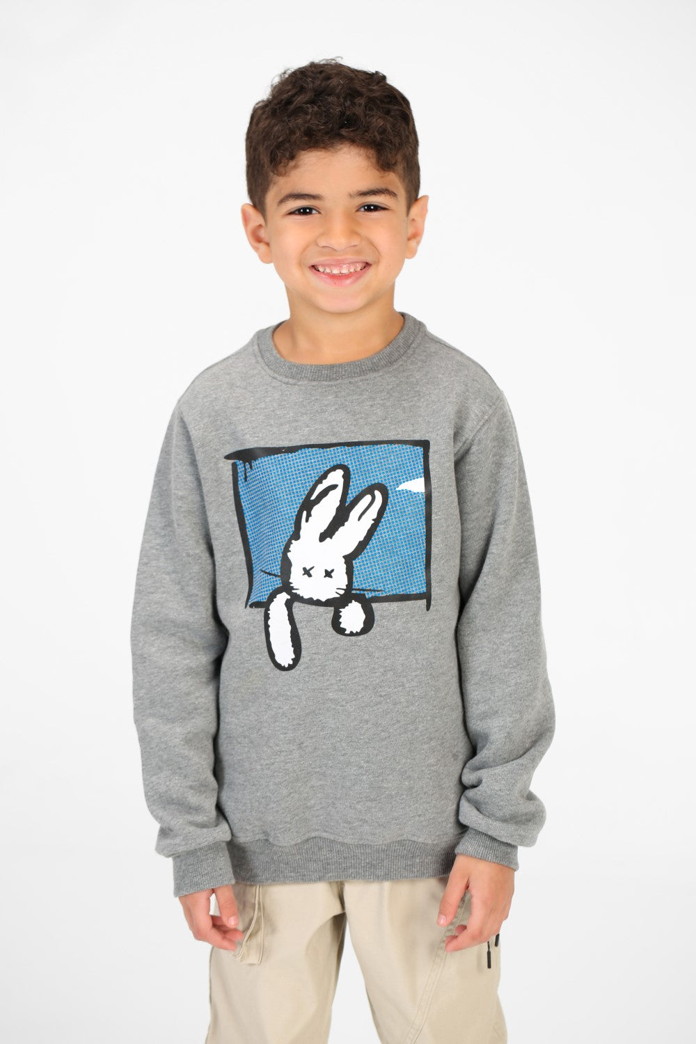 Boy's Long Sleeves Crew Neck Sweatshirt With Front Print