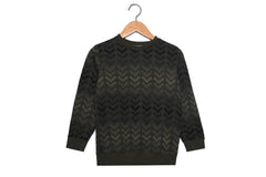 Boy's Rounded Neck Padded With Unqiue Modern Design Sweatshirt