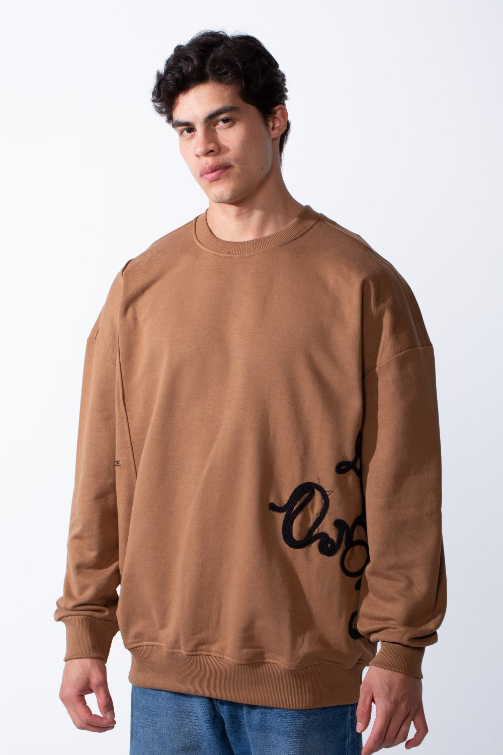 Men's Regular Fit Side Pattern Long Sleeve Crew Neckline Melton Fabric Daily Wear Sweatshirt