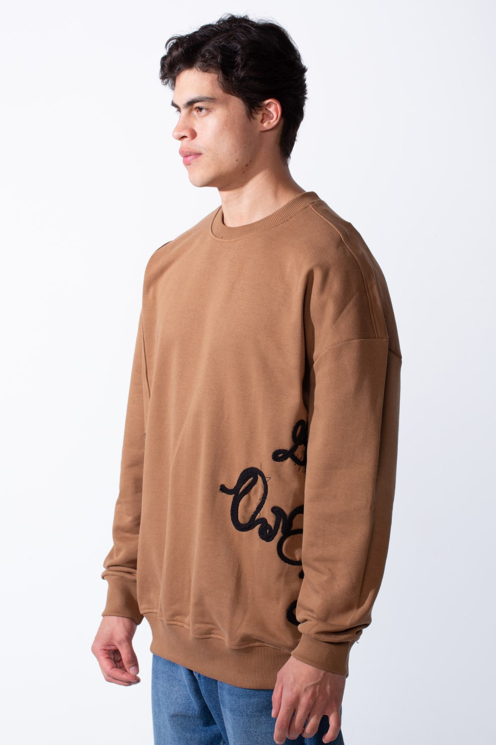 Men's Regular Fit Side Pattern Long Sleeve Crew Neckline Melton Fabric Daily Wear Sweatshirt
