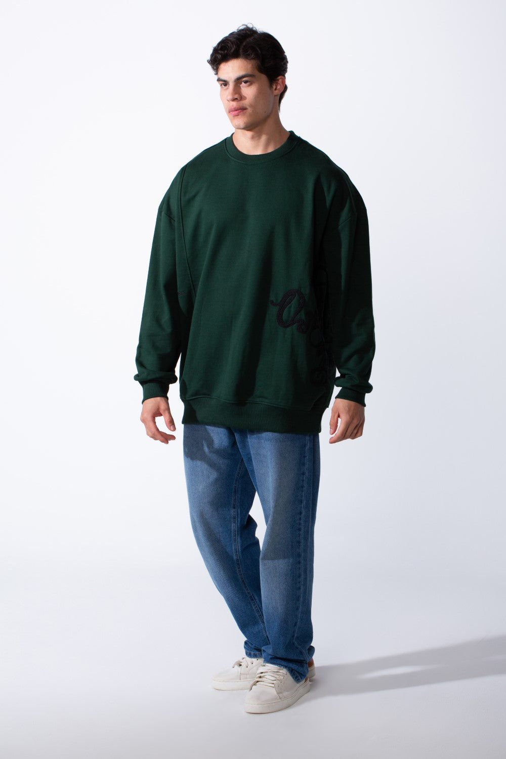 Men's Regular Fit Side Pattern Long Sleeve Crew Neckline Melton Fabric Daily Wear Sweatshirt