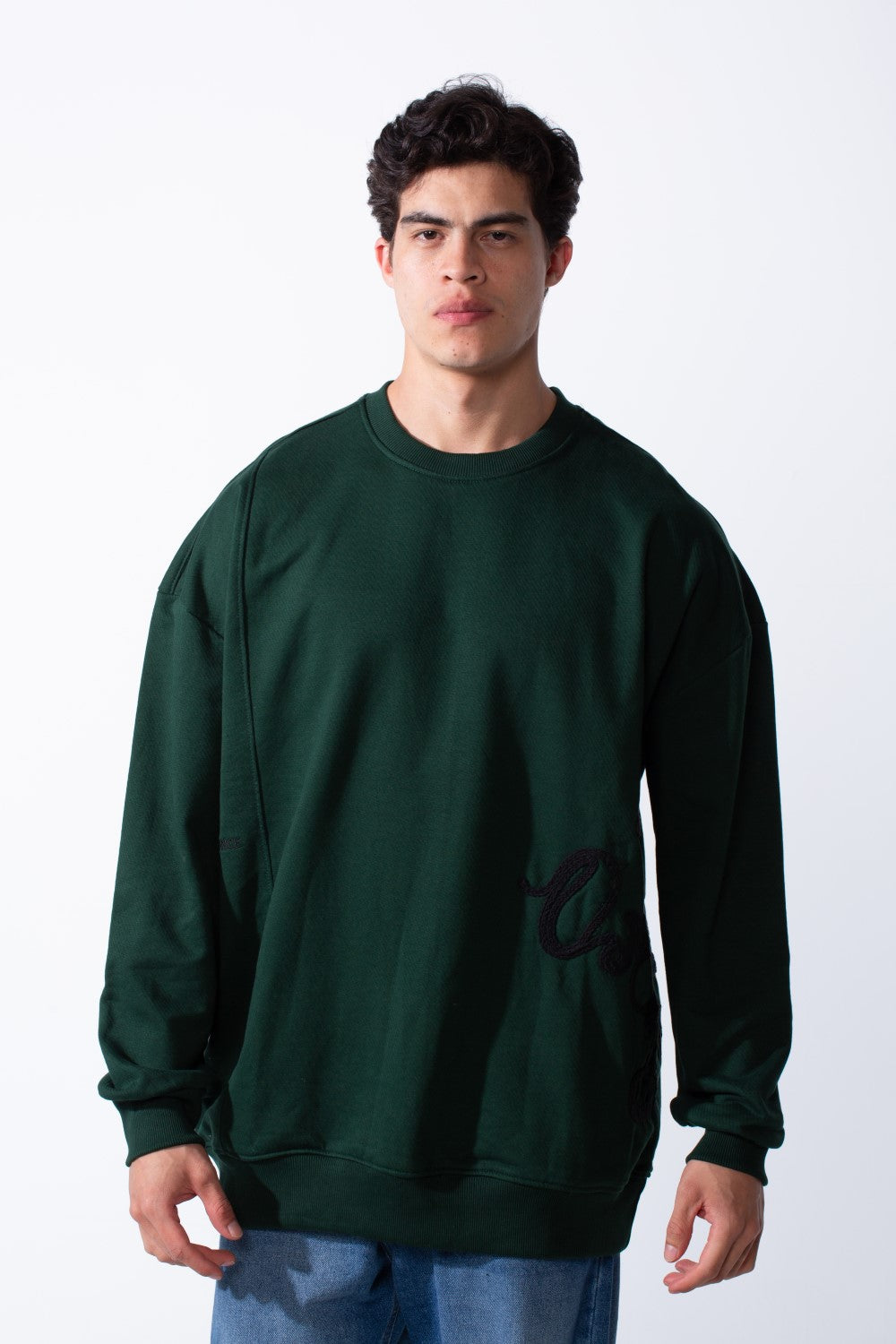 Men's Regular Fit Side Pattern Long Sleeve Crew Neckline Melton Fabric Daily Wear Sweatshirt