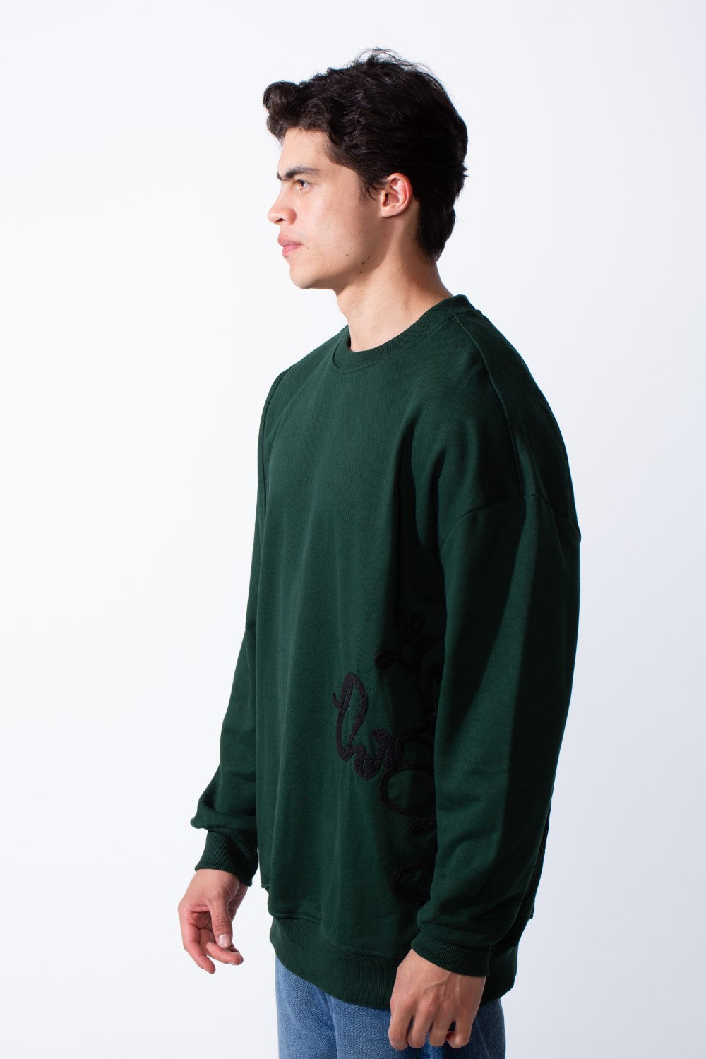 Men's Regular Fit Side Pattern Long Sleeve Crew Neckline Melton Fabric Daily Wear Sweatshirt