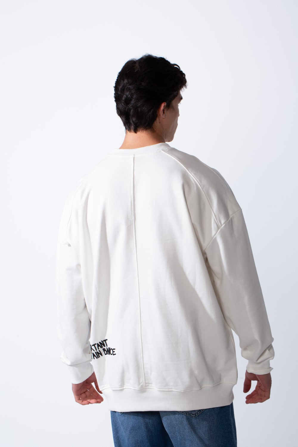 Men's Regular Fit Side Pattern Long Sleeve Crew Neckline Melton Fabric Daily Wear Sweatshirt