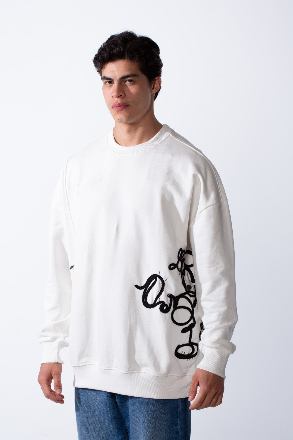 Men's Regular Fit Side Pattern Long Sleeve Crew Neckline Melton Fabric Daily Wear Sweatshirt