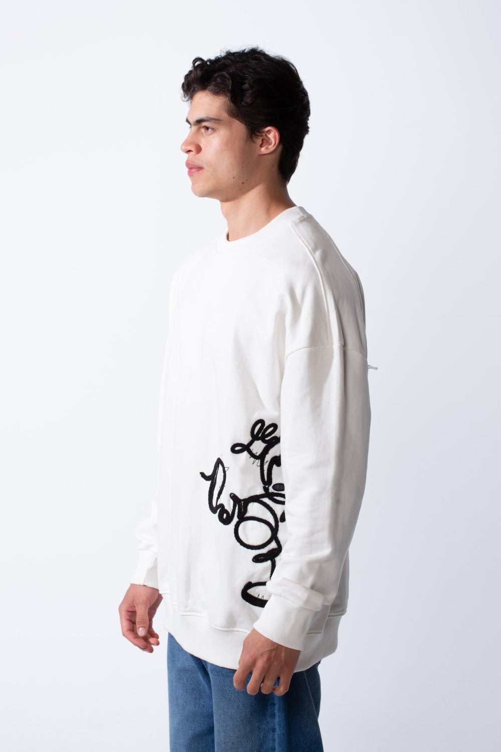 Men's Regular Fit Side Pattern Long Sleeve Crew Neckline Melton Fabric Daily Wear Sweatshirt