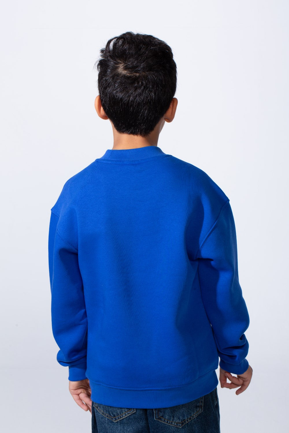 Boy's High Neck Slim Fit Basic Long Sleeve Daily Wear Sweatshirt