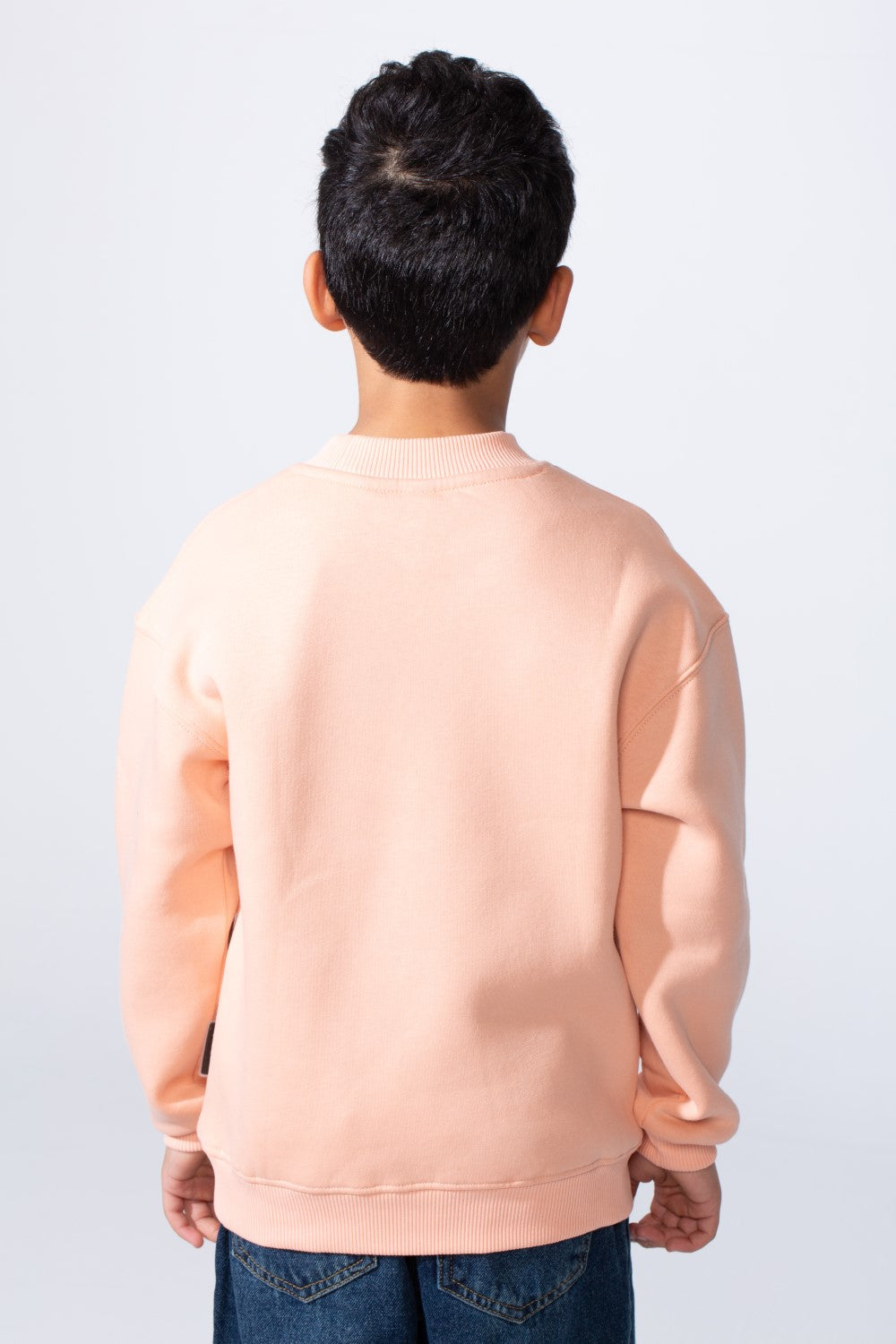 Boy's High Neck Slim Fit Basic Long Sleeve Daily Wear Sweatshirt
