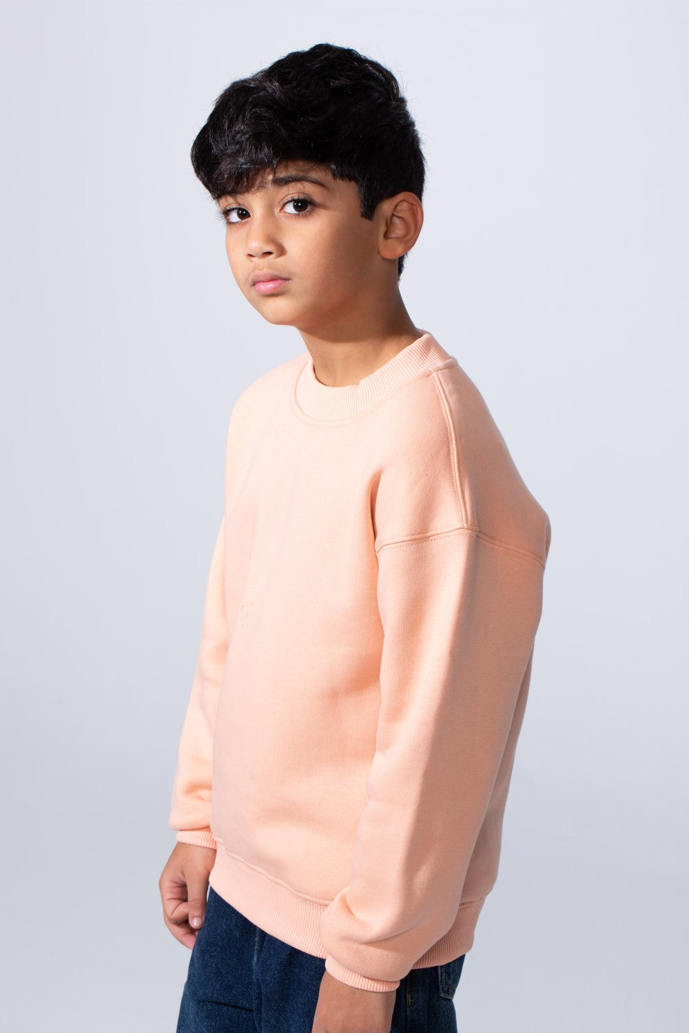 Boy's High Neck Slim Fit Basic Long Sleeve Daily Wear Sweatshirt