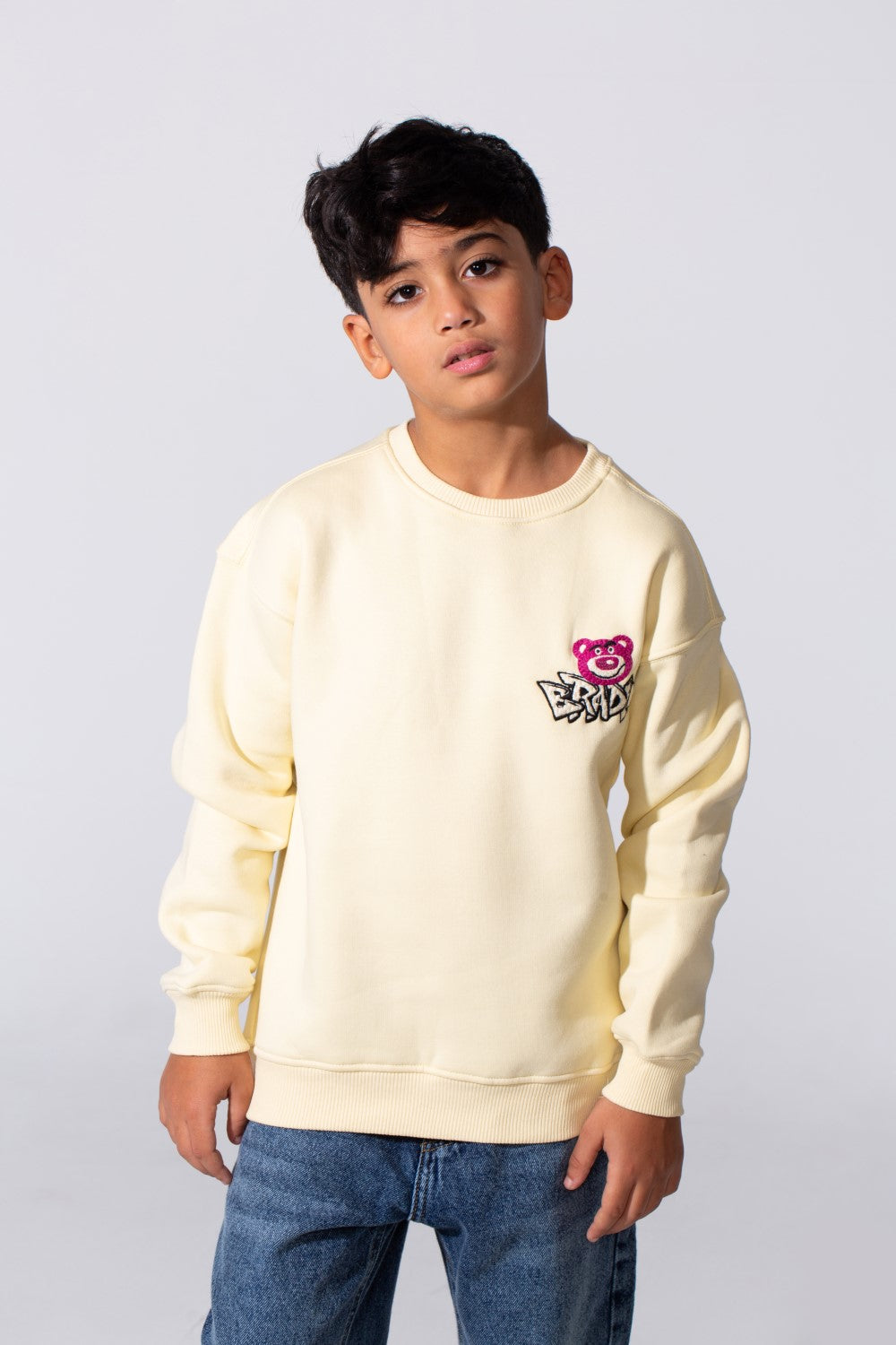 Boy's Round Neckline Long Sleeve With Printed Playful Pack Design Slim Fit Cozy Sweatshirt