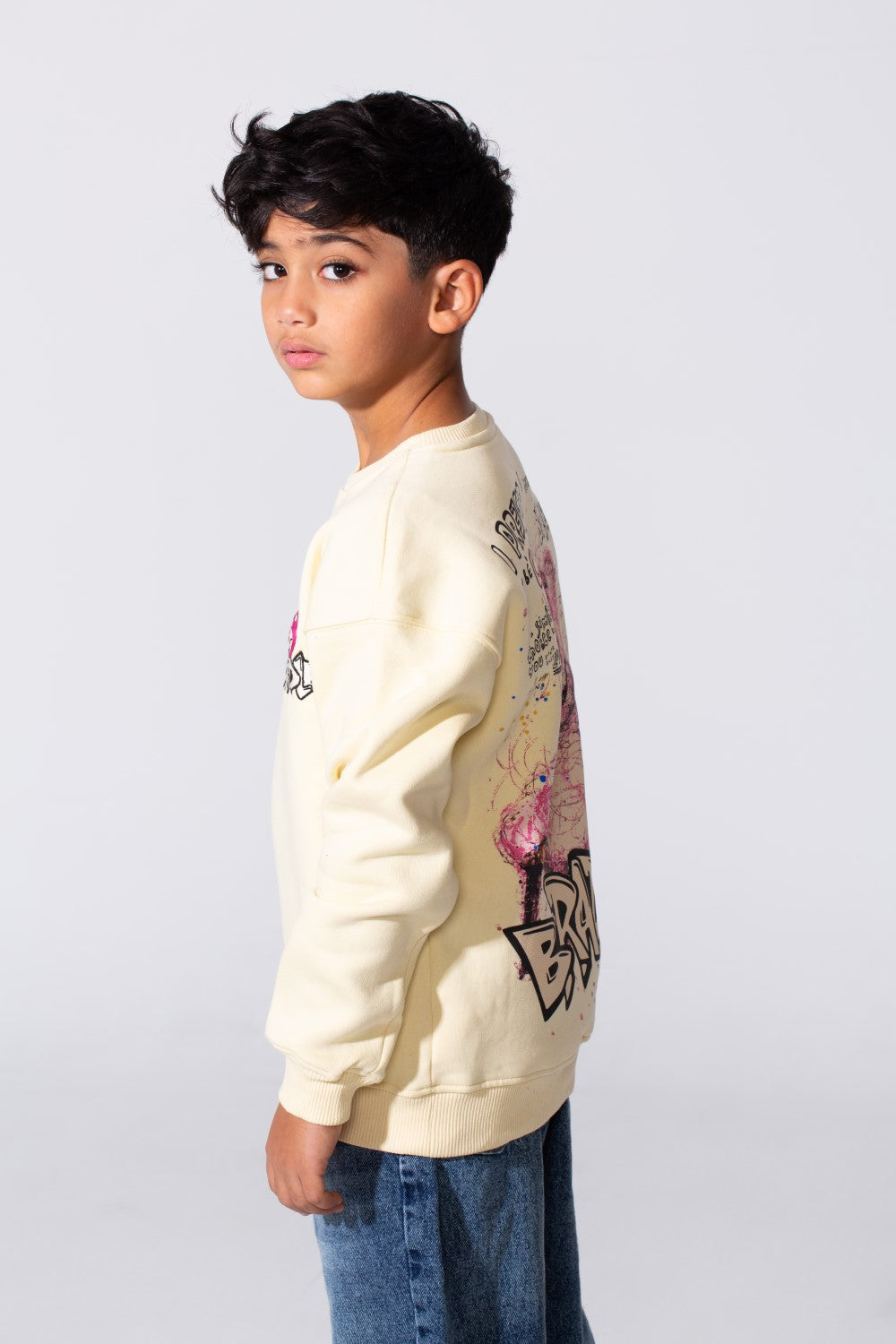 Boy's Round Neckline Long Sleeve With Printed Playful Pack Design Slim Fit Cozy Sweatshirt