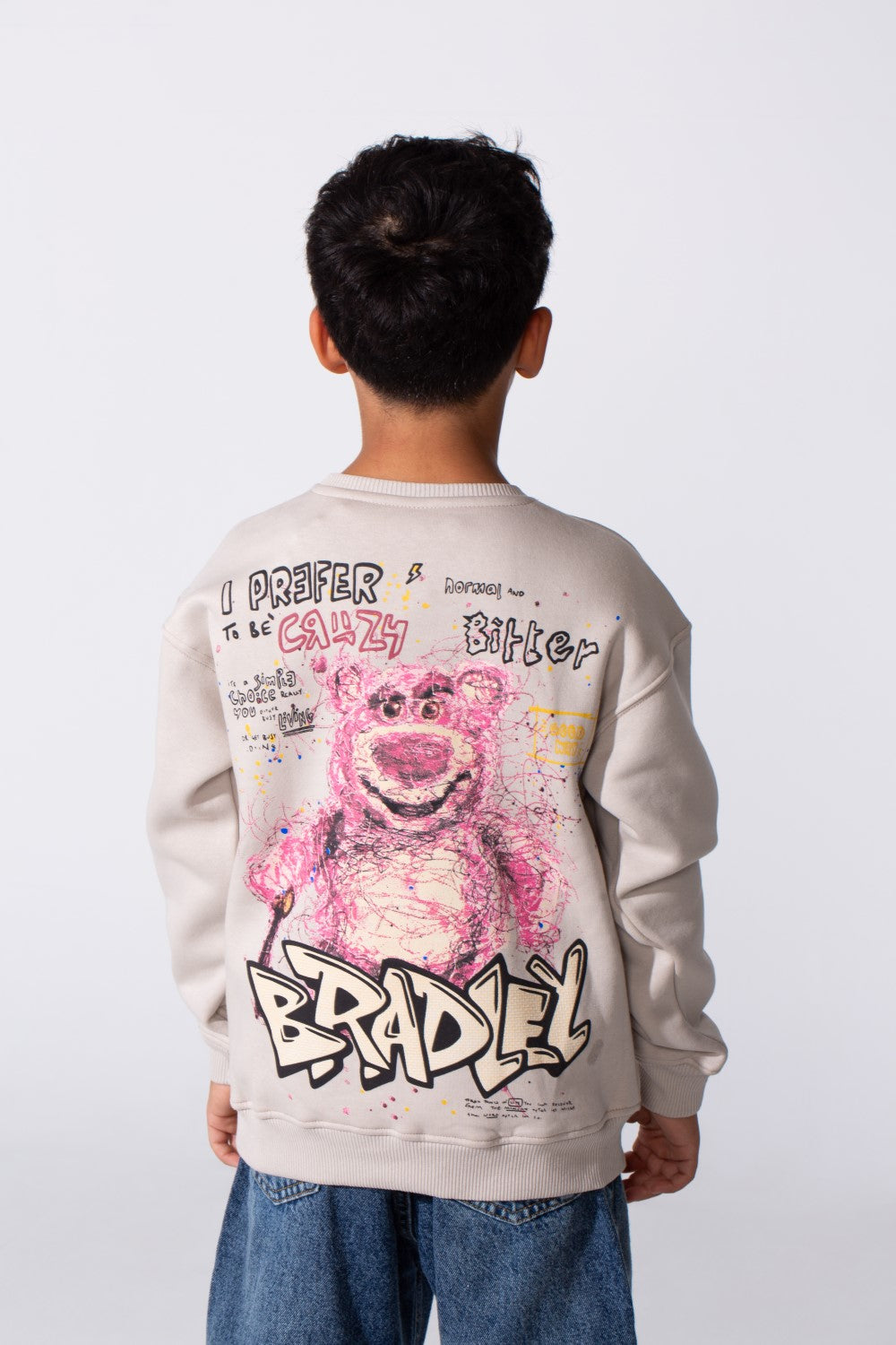 Boy's Round Neckline Long Sleeve With Printed Playful Pack Design Slim Fit Cozy Sweatshirt