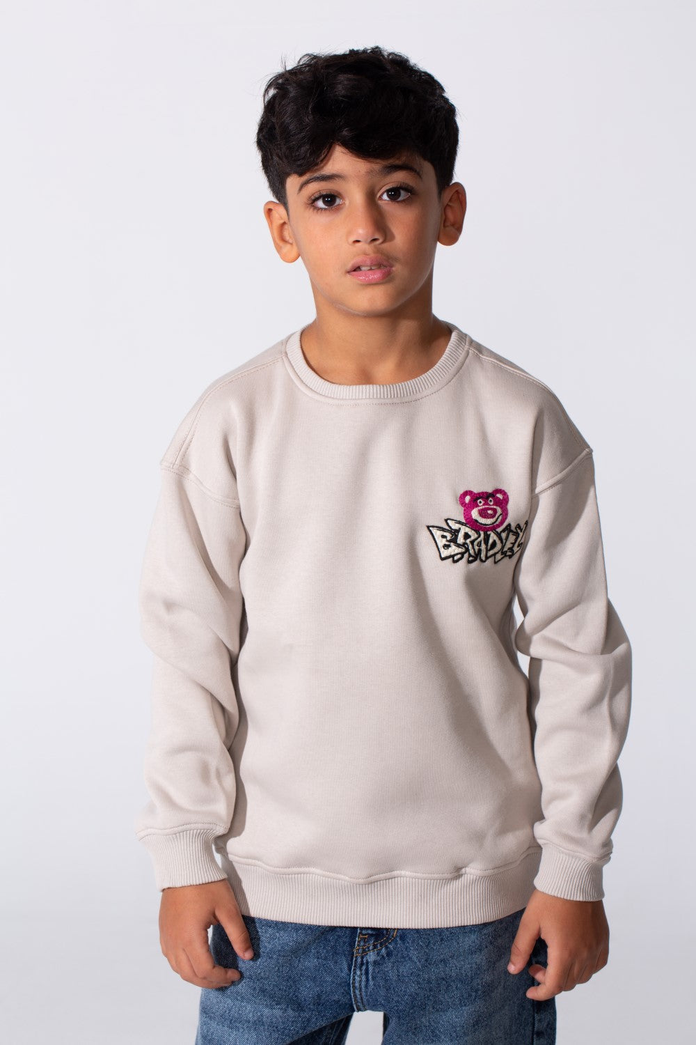 Boy's Round Neckline Long Sleeve With Printed Playful Pack Design Slim Fit Cozy Sweatshirt