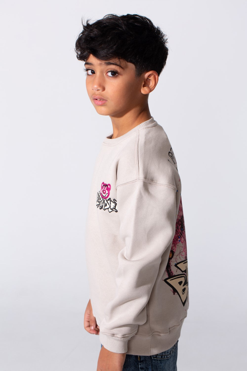 Boy's Round Neckline Long Sleeve With Printed Playful Pack Design Slim Fit Cozy Sweatshirt