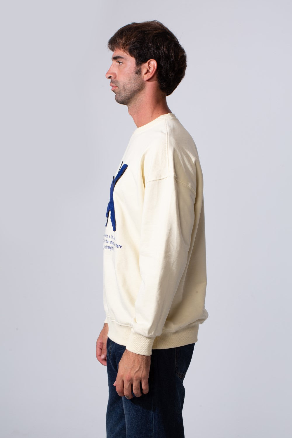 Men's Tomato Store Long Sleeve Crew Neck With Front Print Regular Fit Melton Sweatshirt