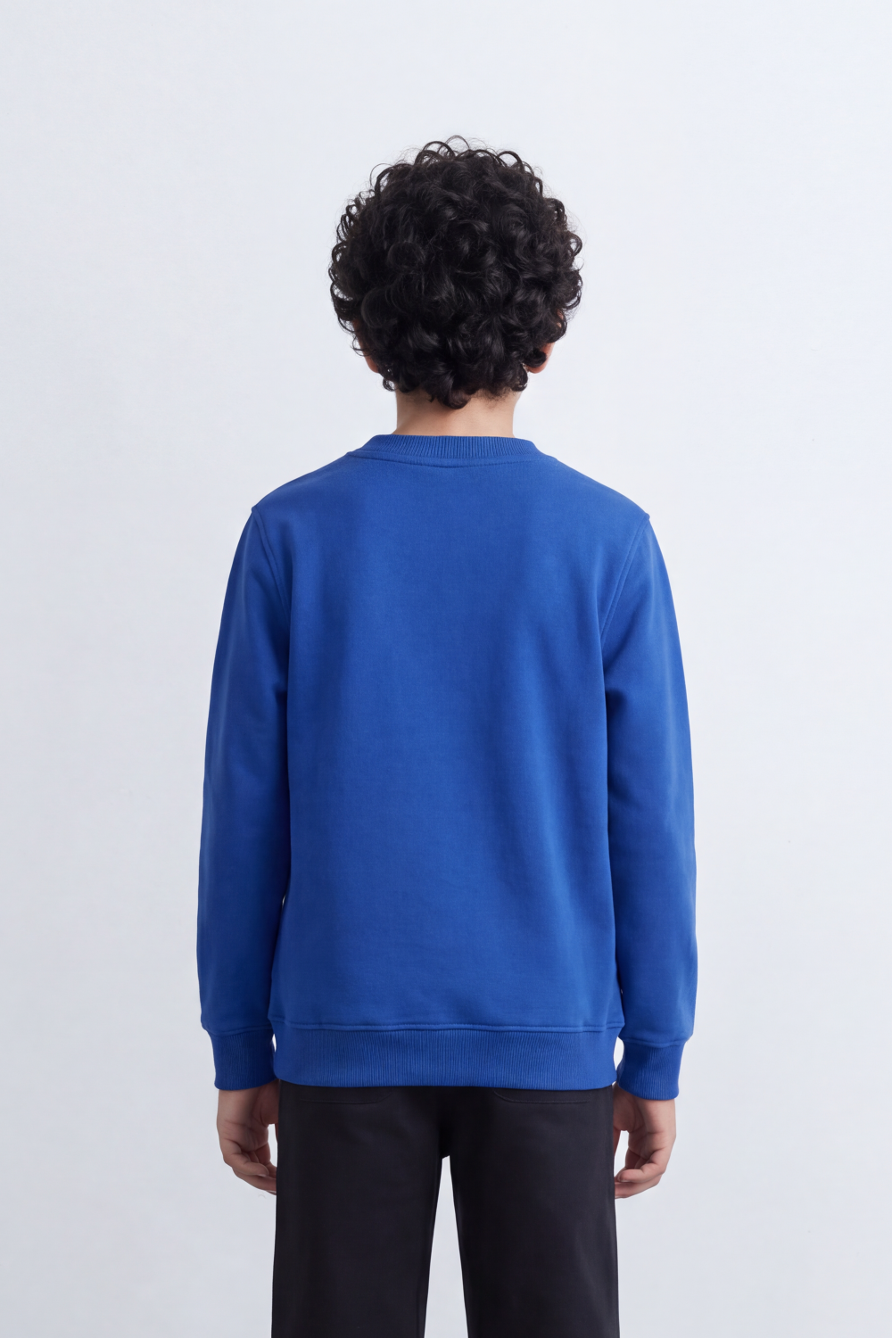Boy's Tomato Store Slim Fit Melton Sweatshirt Ninja Turtle Front Graphic
