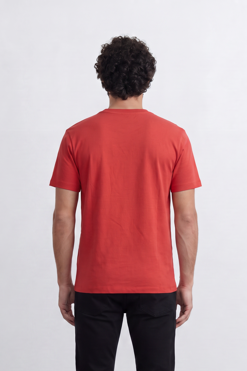 Men's Tomato Store Regular Fit Crew Neck Summer Melton T-Shirt With Premium Soft Cotton Blend