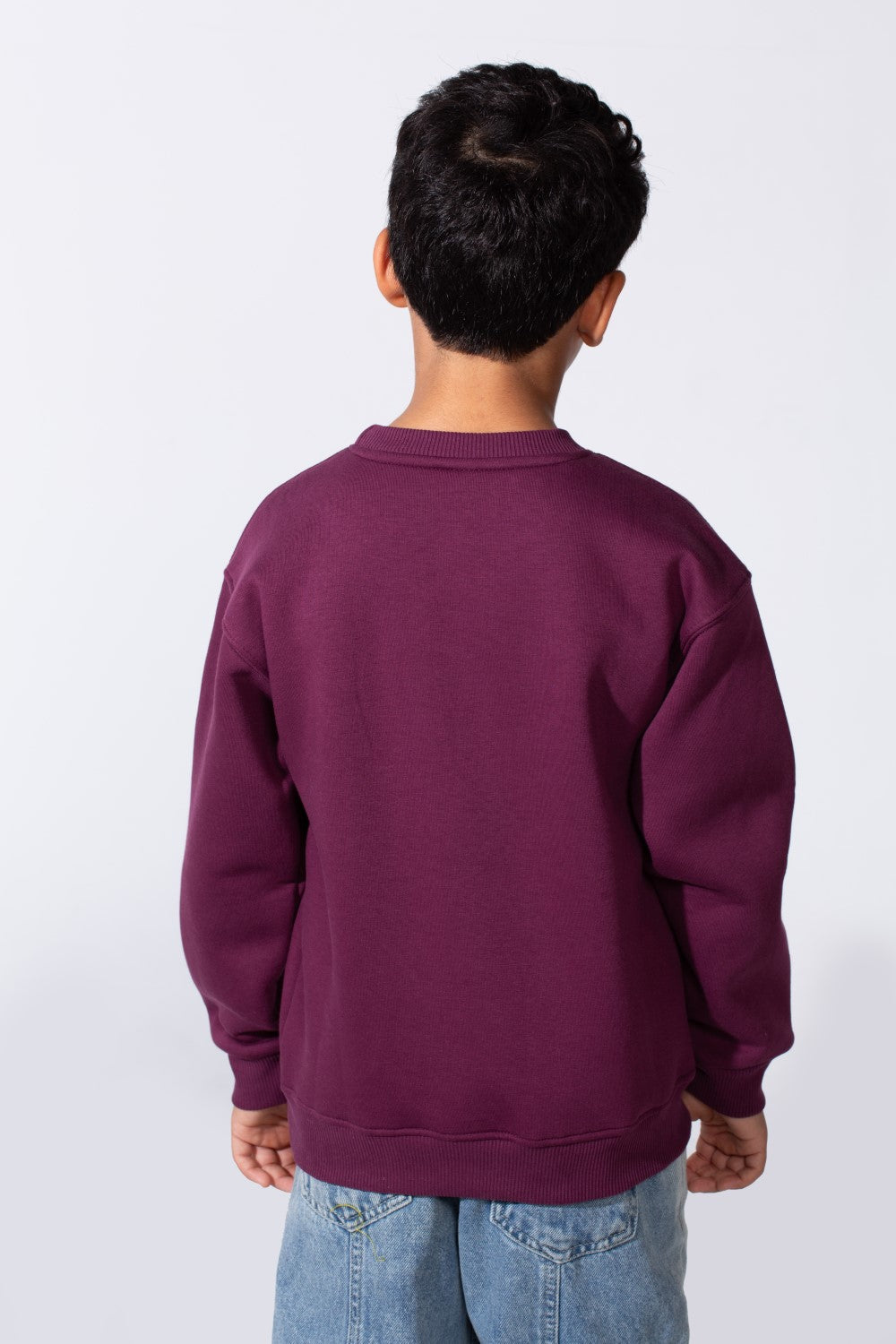 Boy's Round Neckline Long Sleeve Oversize With Front Letter Print Melton Fabric Casual Look Sweatshirt