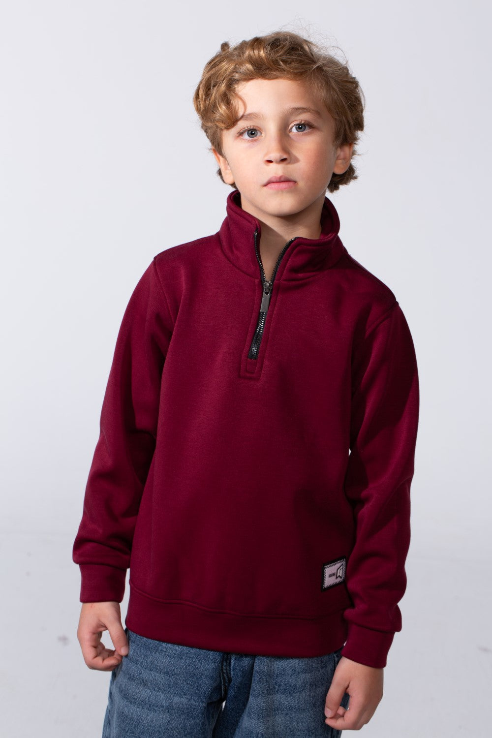 Boy's High Neck With Half-Zip Long Sleeve Slim Fit Daily Wear Basic Sweatshirt