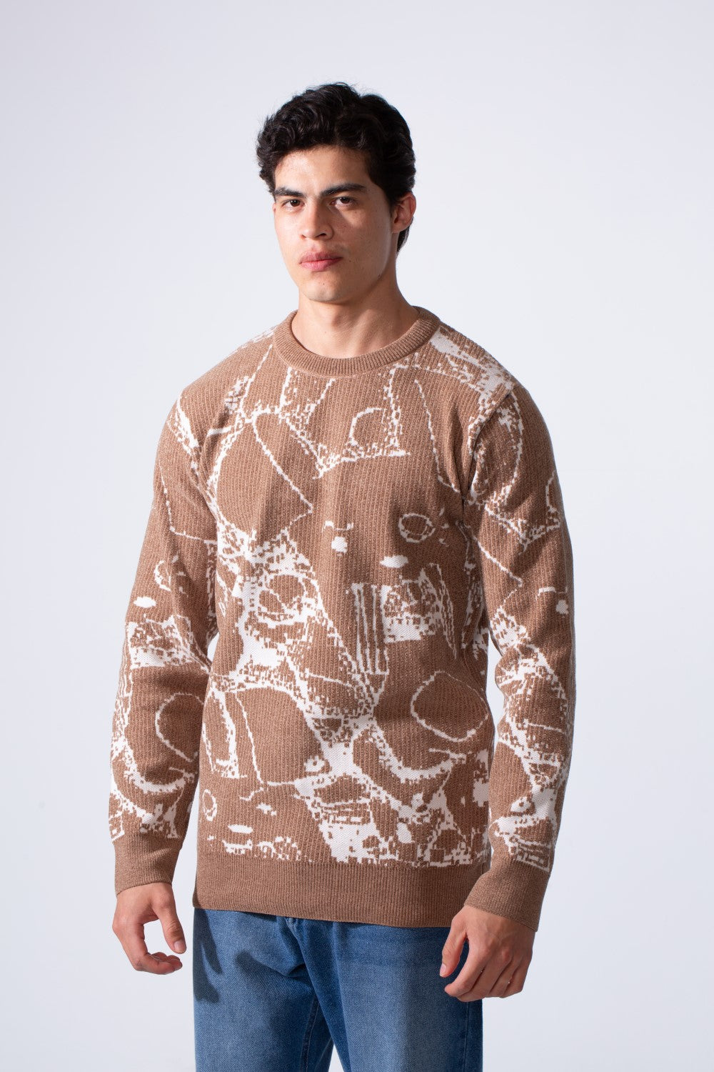 Men's Long Sleeve With Casual Print Slim Fit Crew Neck Pullover