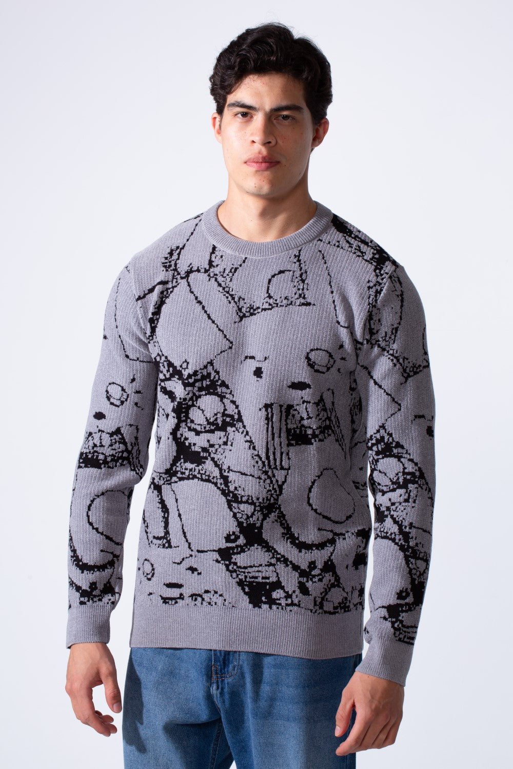 Men's Long Sleeve With Casual Print Slim Fit Crew Neck Pullover