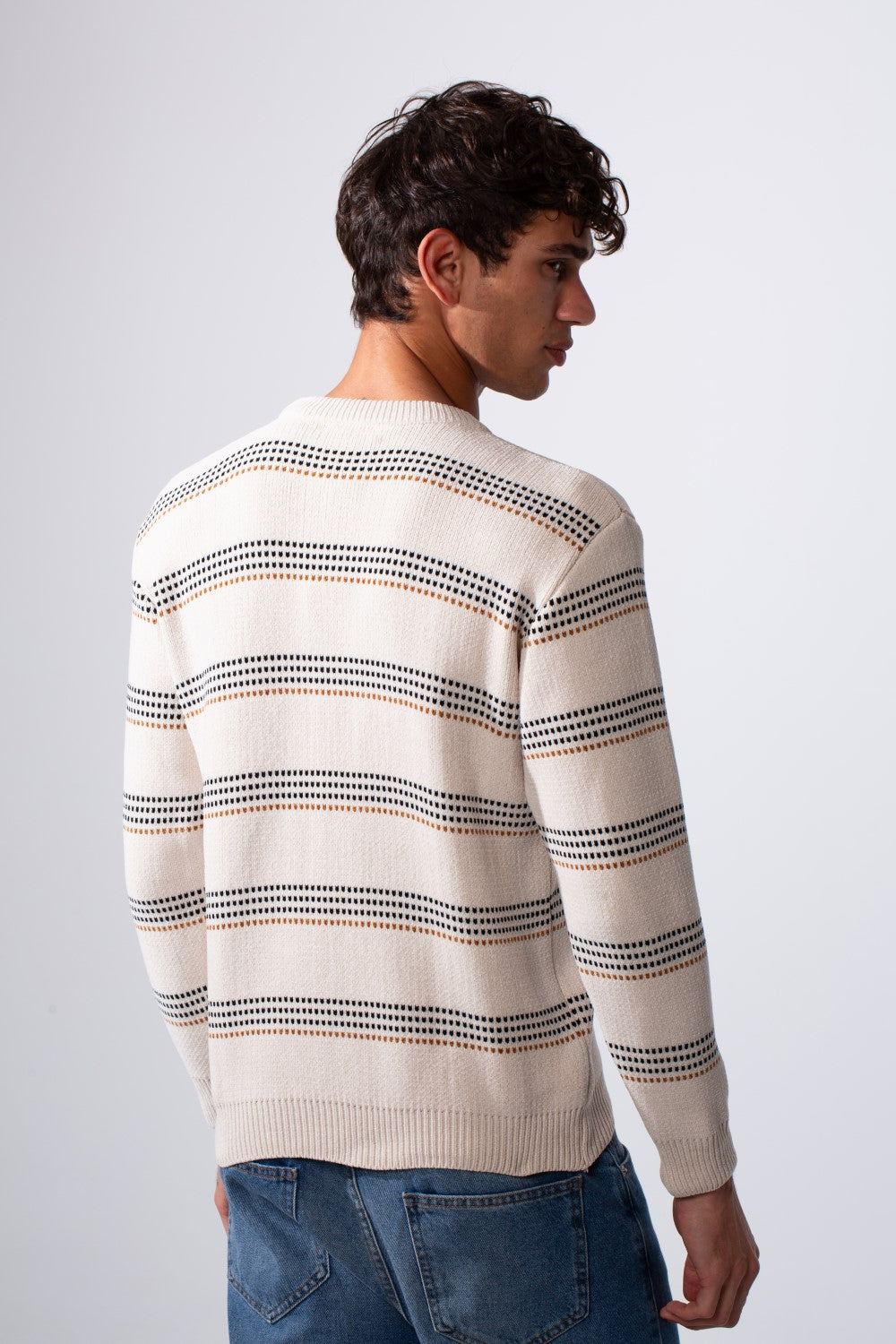 Men's Crew Neck Slim Fit Striped Pullover