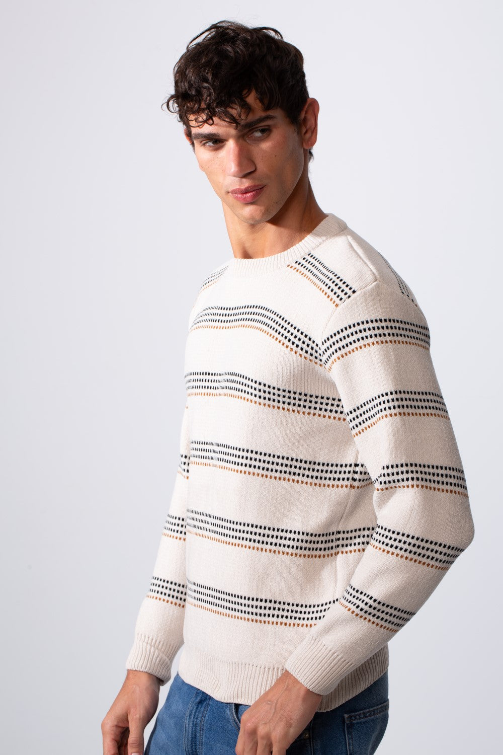 Men's Crew Neck Slim Fit Striped Pullover