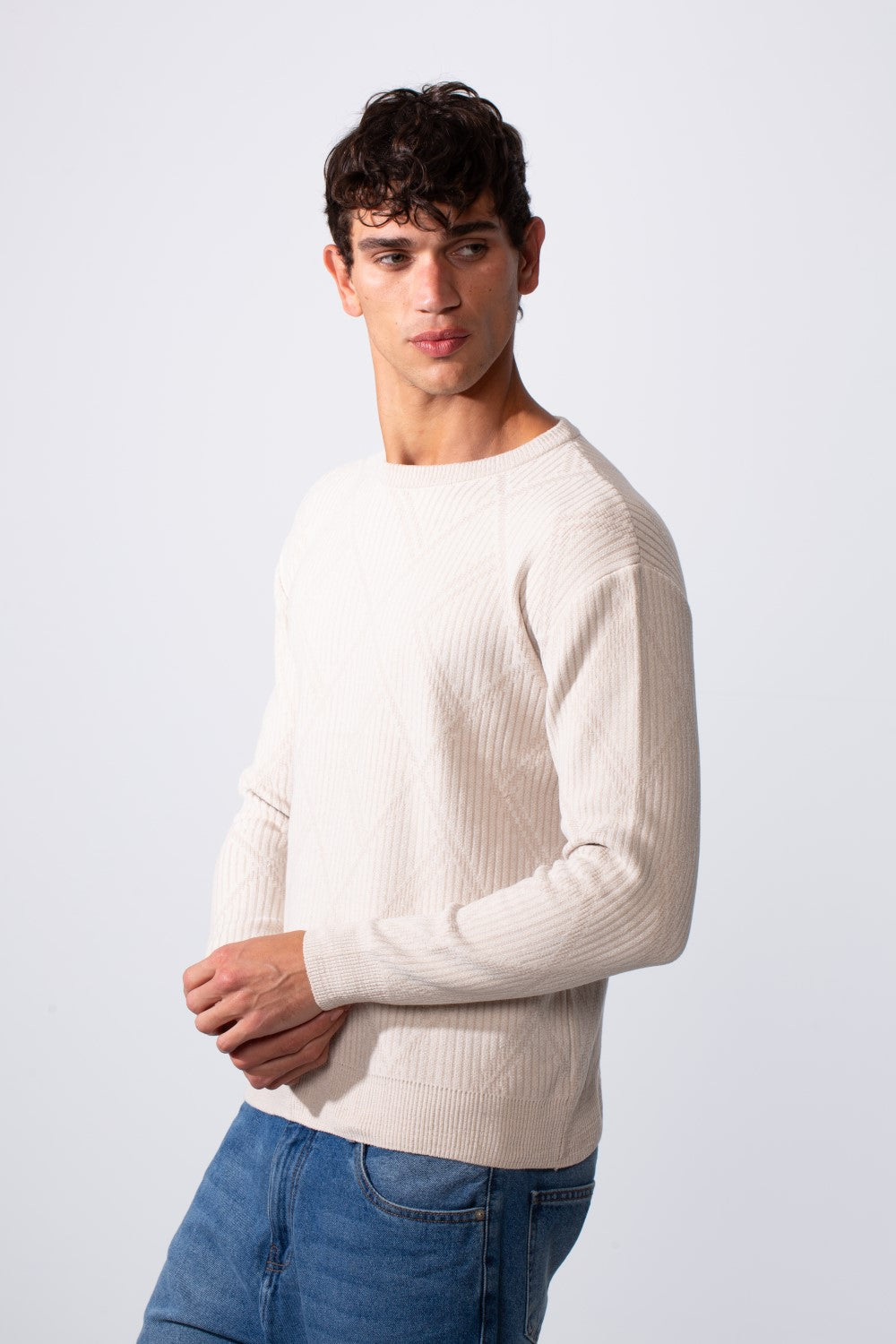 Men's Crew Neck Slim Fit Pullover Sweater