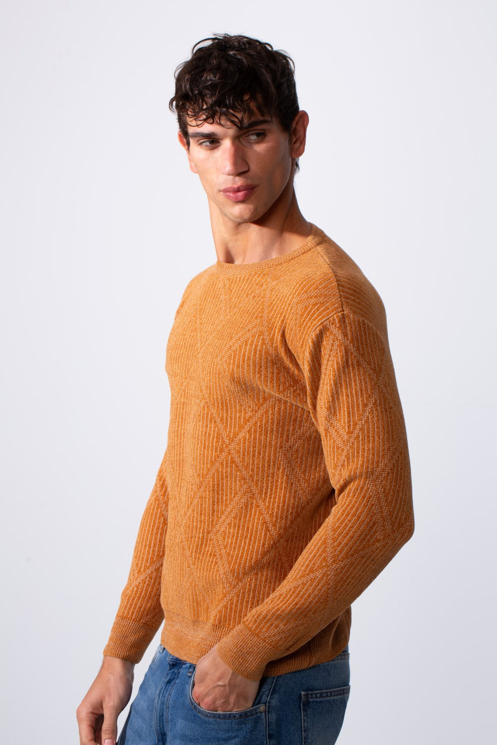 Men's Crew Neck Slim Fit Pullover Sweater
