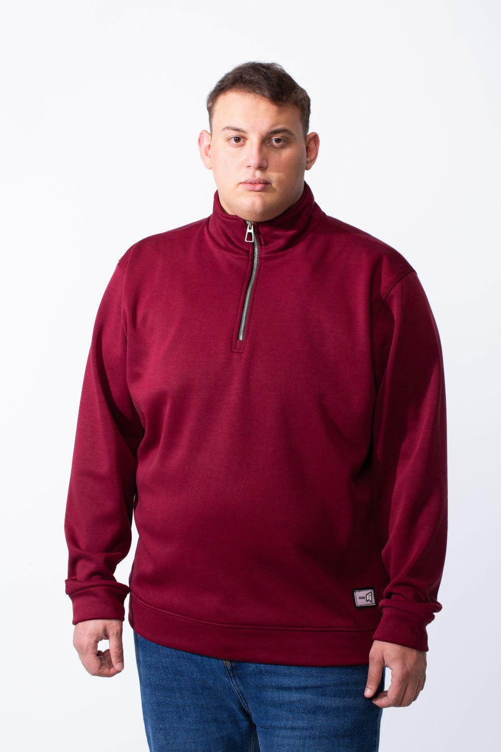 Men's Half Zip With High Neck Polo Design Long Sleeve Daily Wear Practical Big Size Sweatshirt Tomato Store