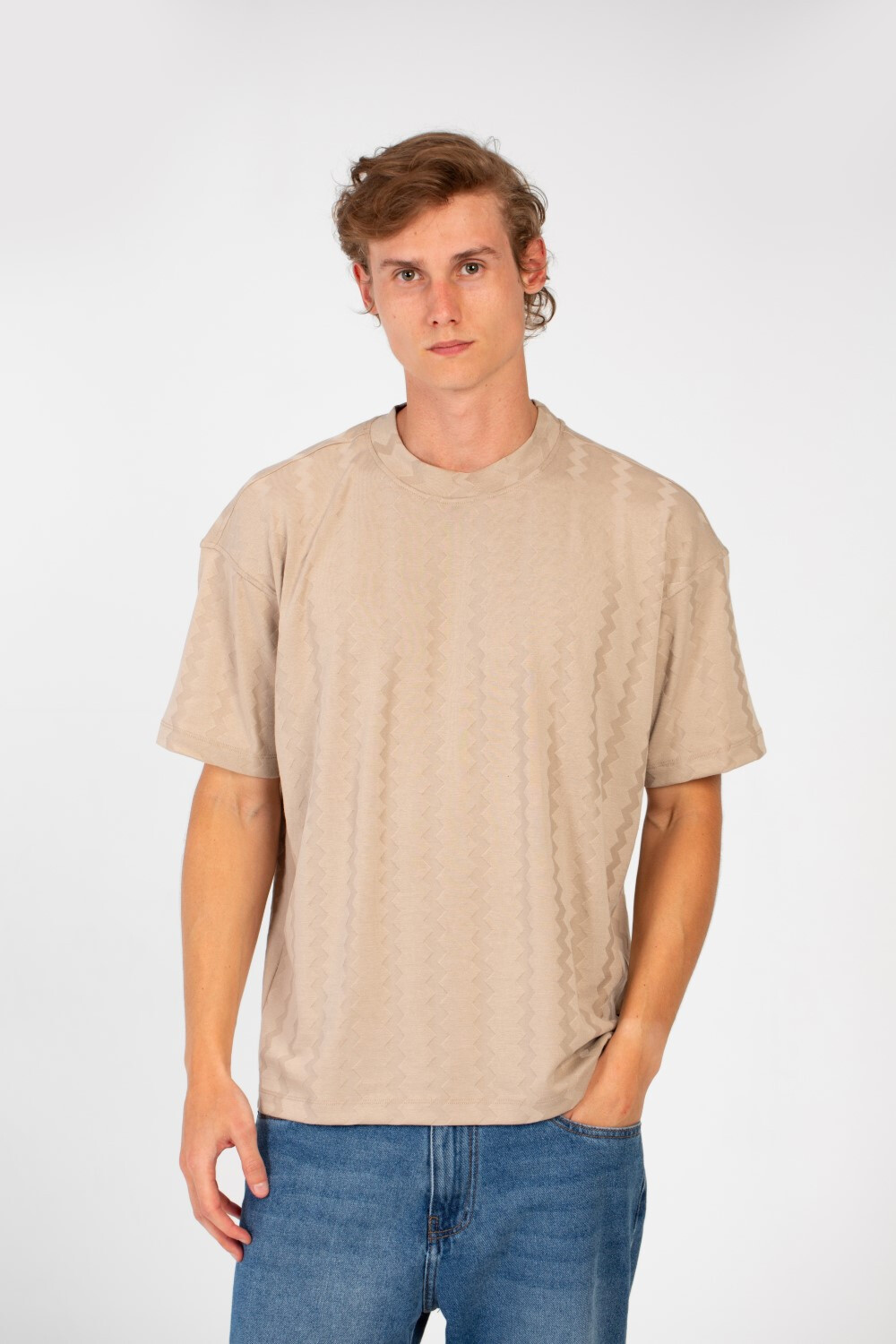 Men's Regular Fit Short Sleeves Basic Details T-shirt With High Quality Modern Design 