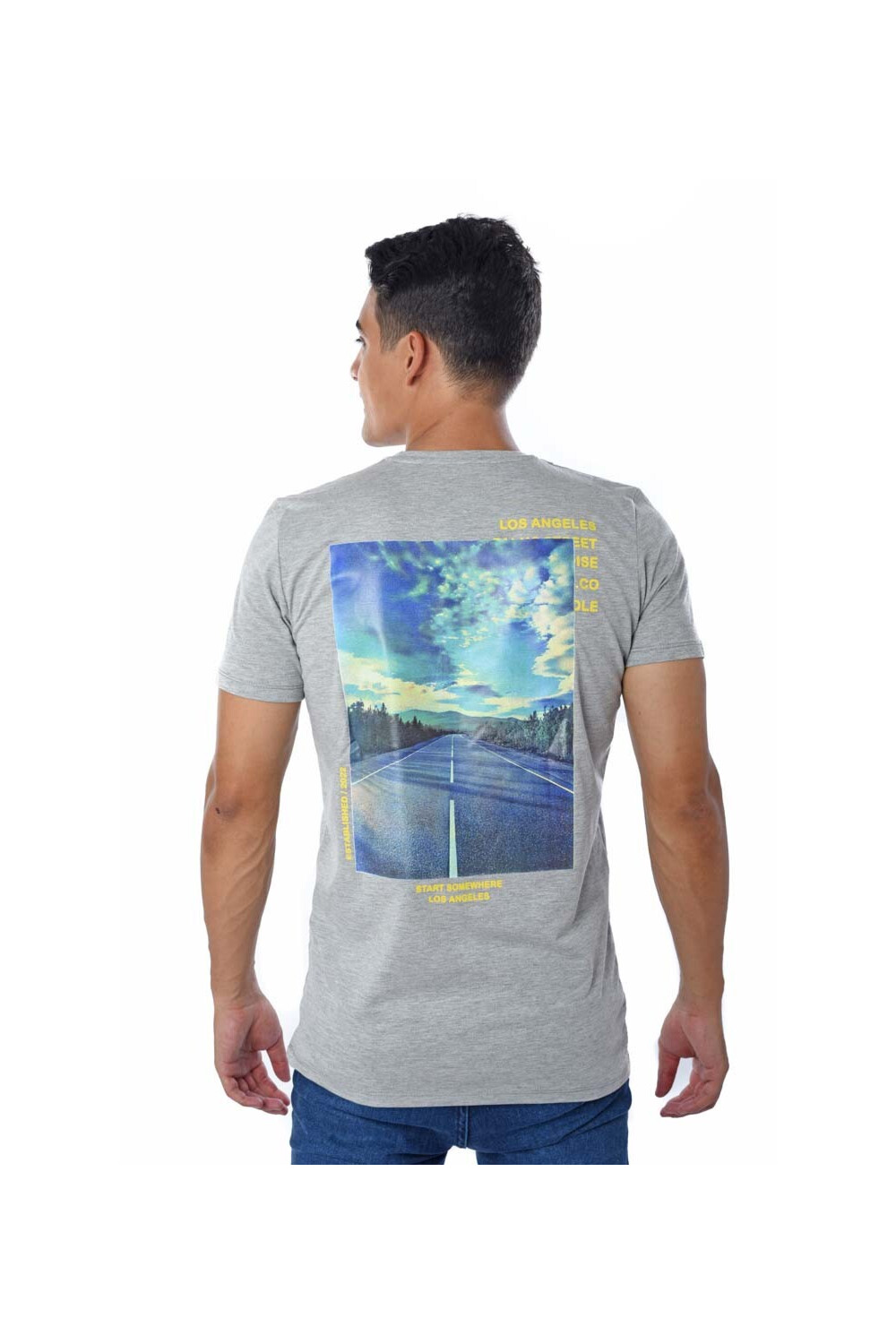 Men's Back Printed Cotton Rounded Neck T-shirt