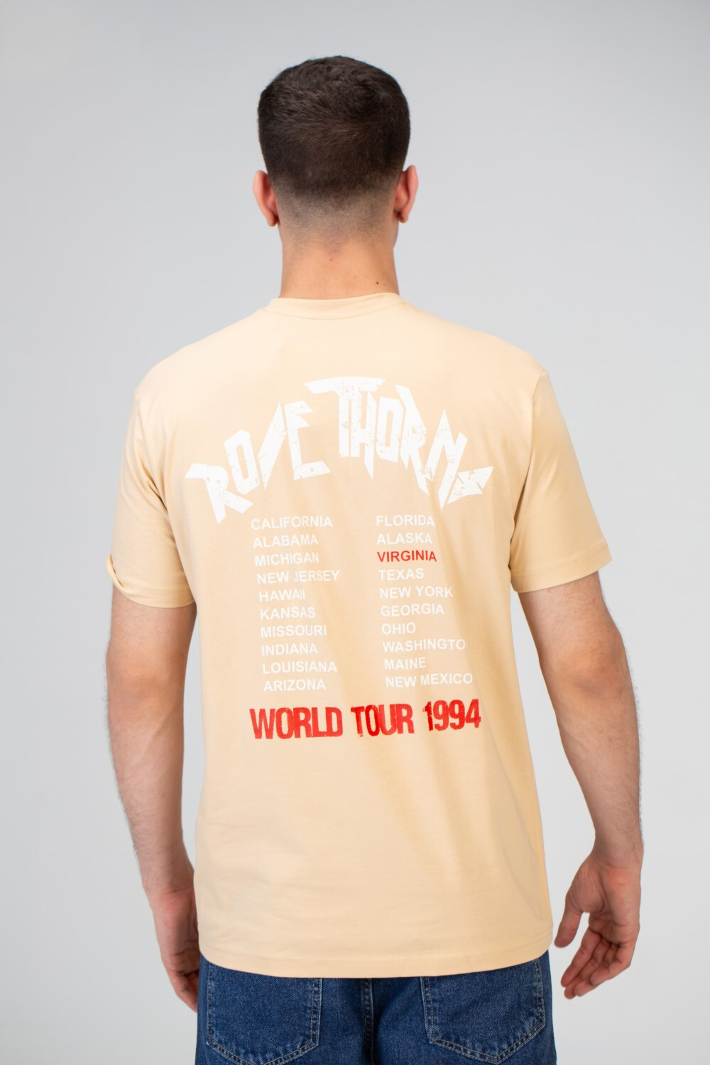 Mens Slim Fit T-shirt With A Round Neck And Comfortable Lycra Material