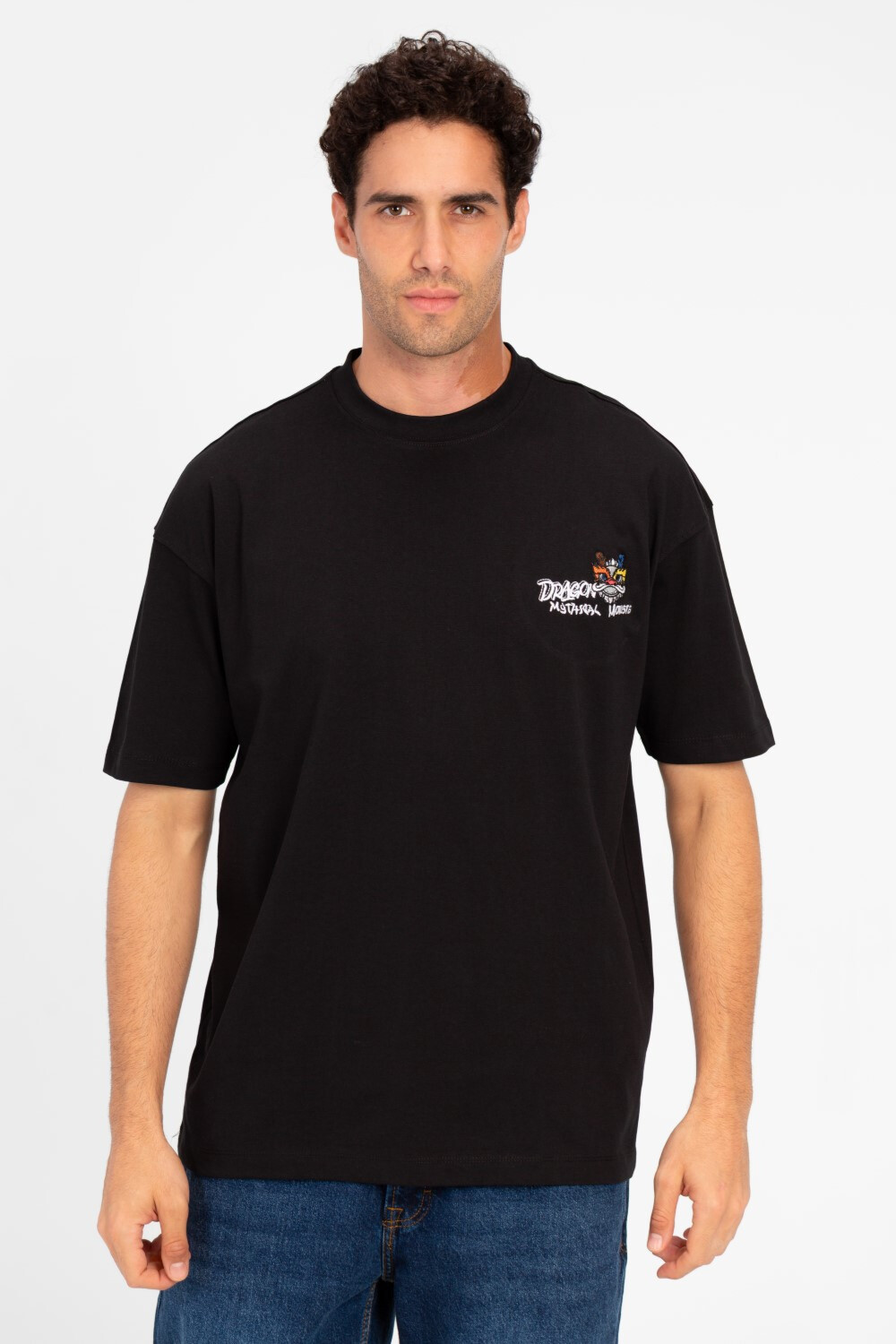 Men's Round Neck Printed Regular Fit Half Sleeve T-Shirt