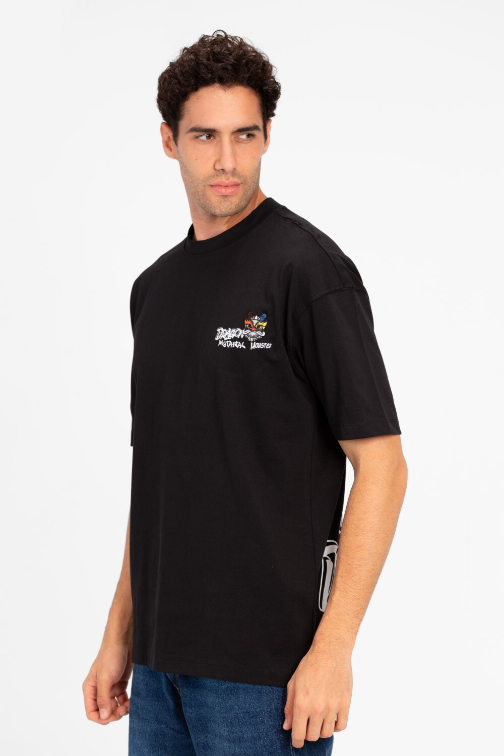 Men's Round Neck Printed Regular Fit Half Sleeve T-Shirt