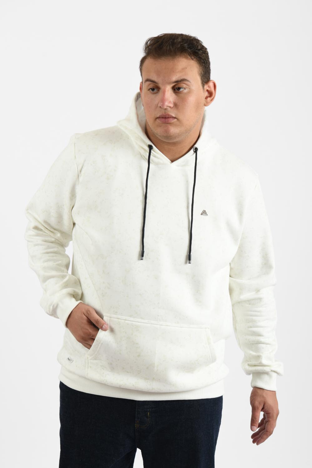 Men's Big Size Regular Fit Hoodie Melton Basic Padded Sweatshirt