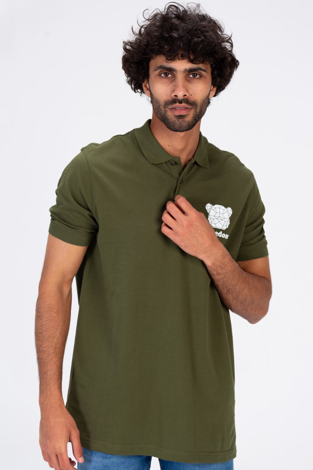 Mens Polo Regular Fit Half Sleeves T shirt With Collar And Freedom Print Tomato Stores
